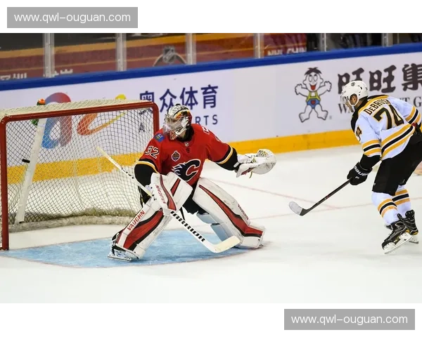 提升游戏体验，尽在NHLAPP——您的专属冰球之旅